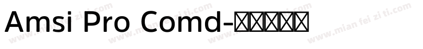 Amsi Pro Comd字体转换